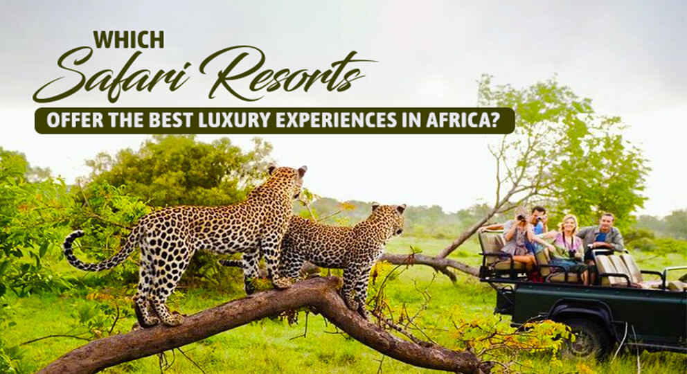 Which Safari Resorts Offer the Best Luxury Experiences in Africa?